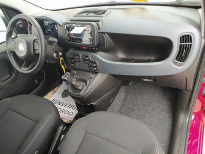 Fiat Panda Cross Cross 1.0 FireFly S&S Hybrid (14)