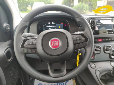 Fiat Panda Cross Cross 1.0 FireFly S&S Hybrid (18)