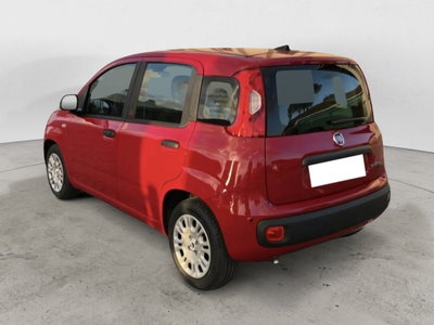 Fiat Pandina 1.0 firefly hybrid Icon s&s 65cv (2)