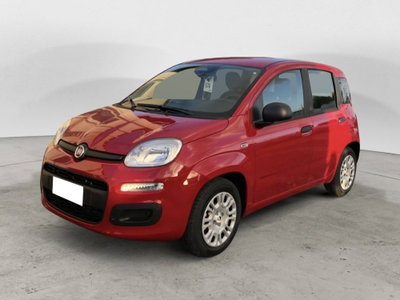Fiat Pandina 1.0 firefly hybrid Icon s&s 65cv (3)