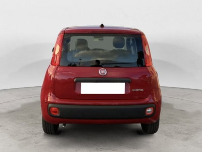 Fiat Pandina 1.0 firefly hybrid Icon s&s 65cv (5)