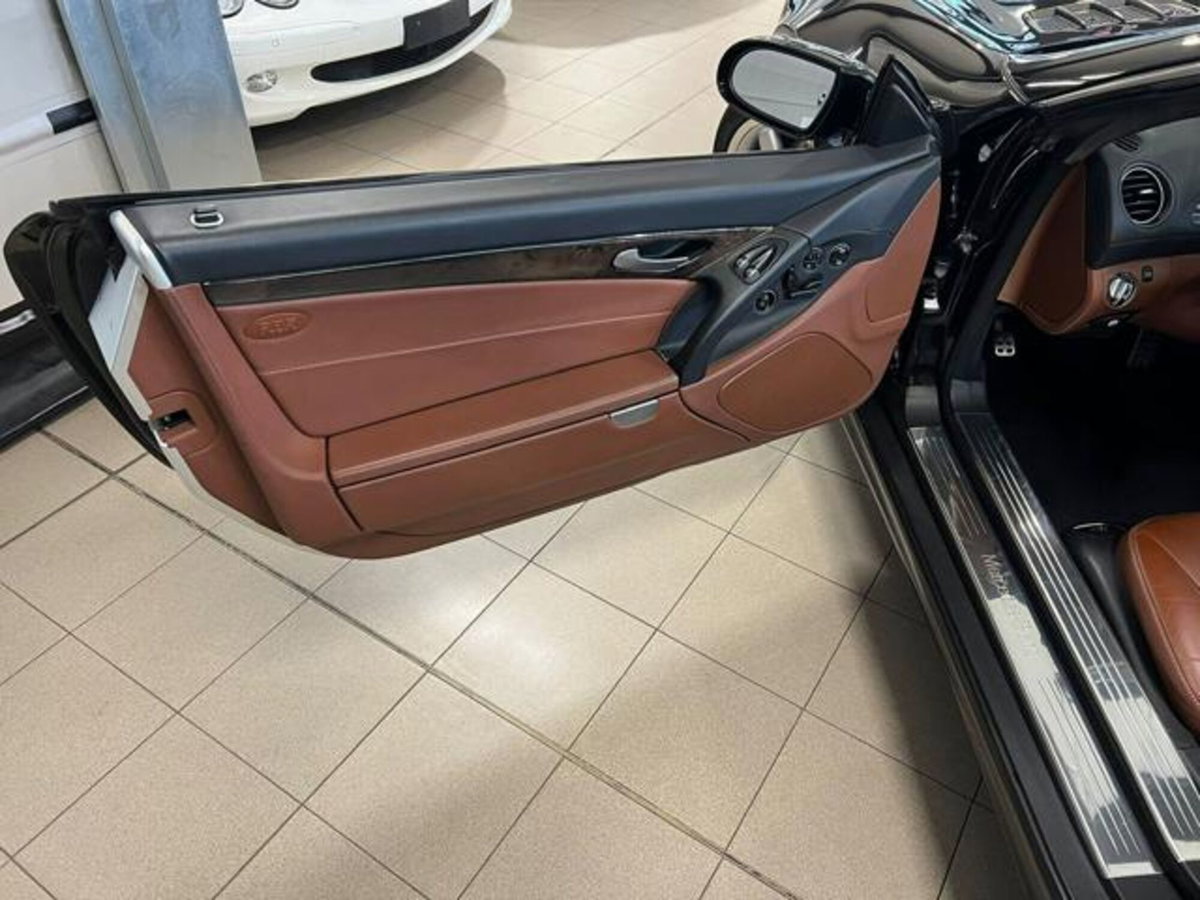 Mercedes-Benz SL 350 cat EVO Chrome (11)