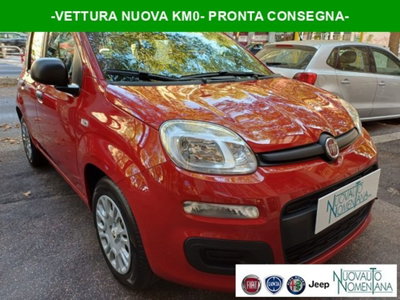 Fiat Panda 1.0 firefly hybrid s&s 70cv 5p.ti nuova