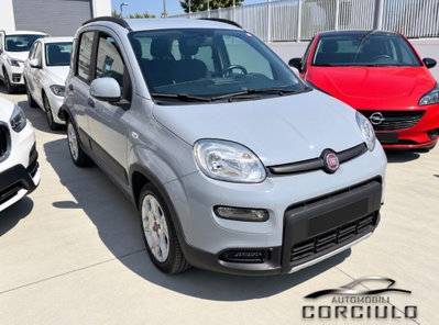 Fiat Panda 1.0 FireFly S&S Hybrid City Cross usata