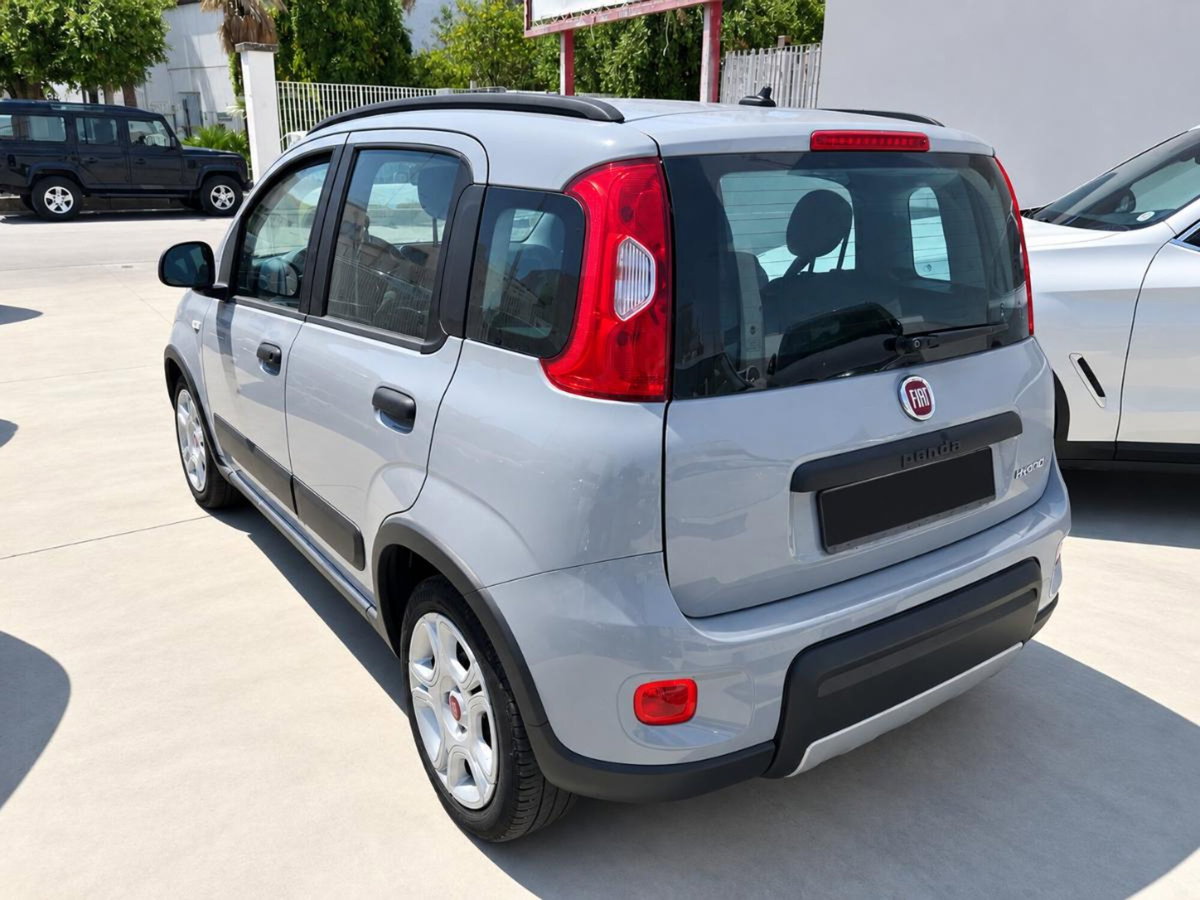 Fiat Panda 1.0 FireFly S&S Hybrid City Cross (2)