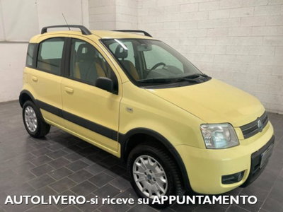 Fiat Panda 1.2 4x4 usata