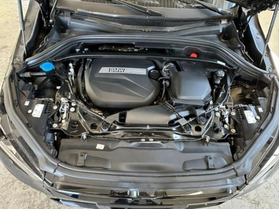 BMW X2 sdrive 18d MSport Pro auto (9)