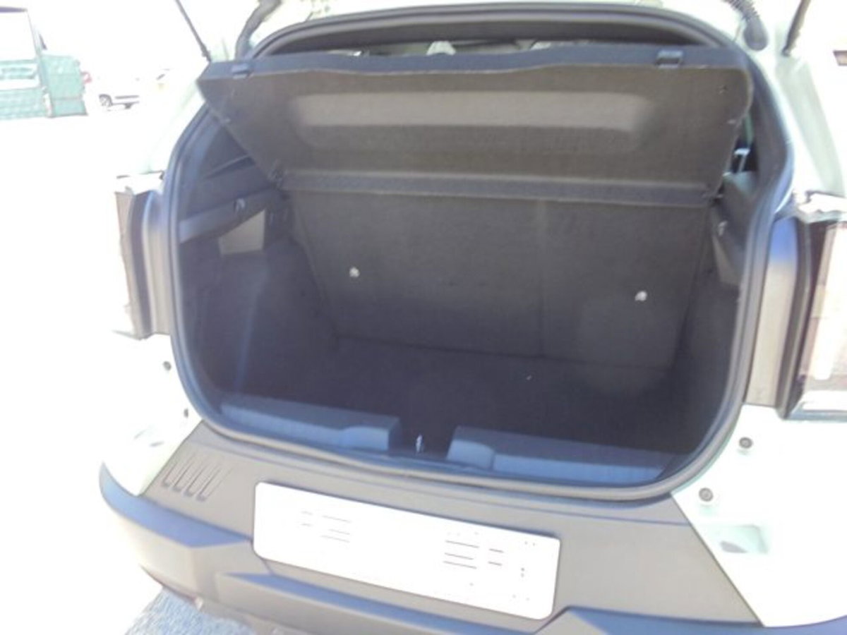 Fiat Grande Panda 1.2 Icon 100cv (15)