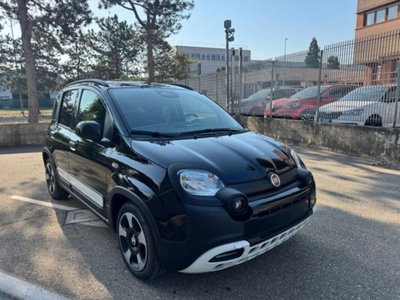 Fiat Panda Cross 1.0 firefly hybrid Cross s&s 70cv 5p.ti (2)