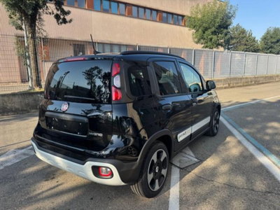 Fiat Panda Cross 1.0 firefly hybrid Cross s&s 70cv 5p.ti (4)