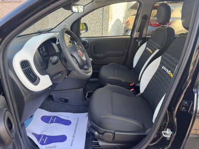 Fiat Panda Cross 1.0 firefly hybrid Cross s&s 70cv 5p.ti (6)