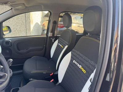 Fiat Panda Cross 1.0 firefly hybrid Cross s&s 70cv 5p.ti (7)