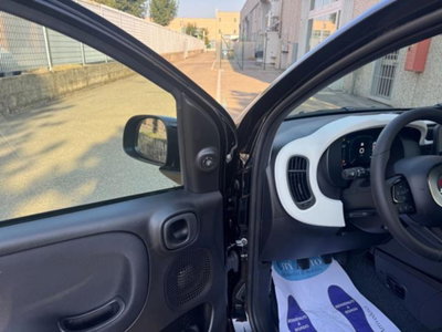 Fiat Panda Cross 1.0 firefly hybrid Cross s&s 70cv 5p.ti (9)
