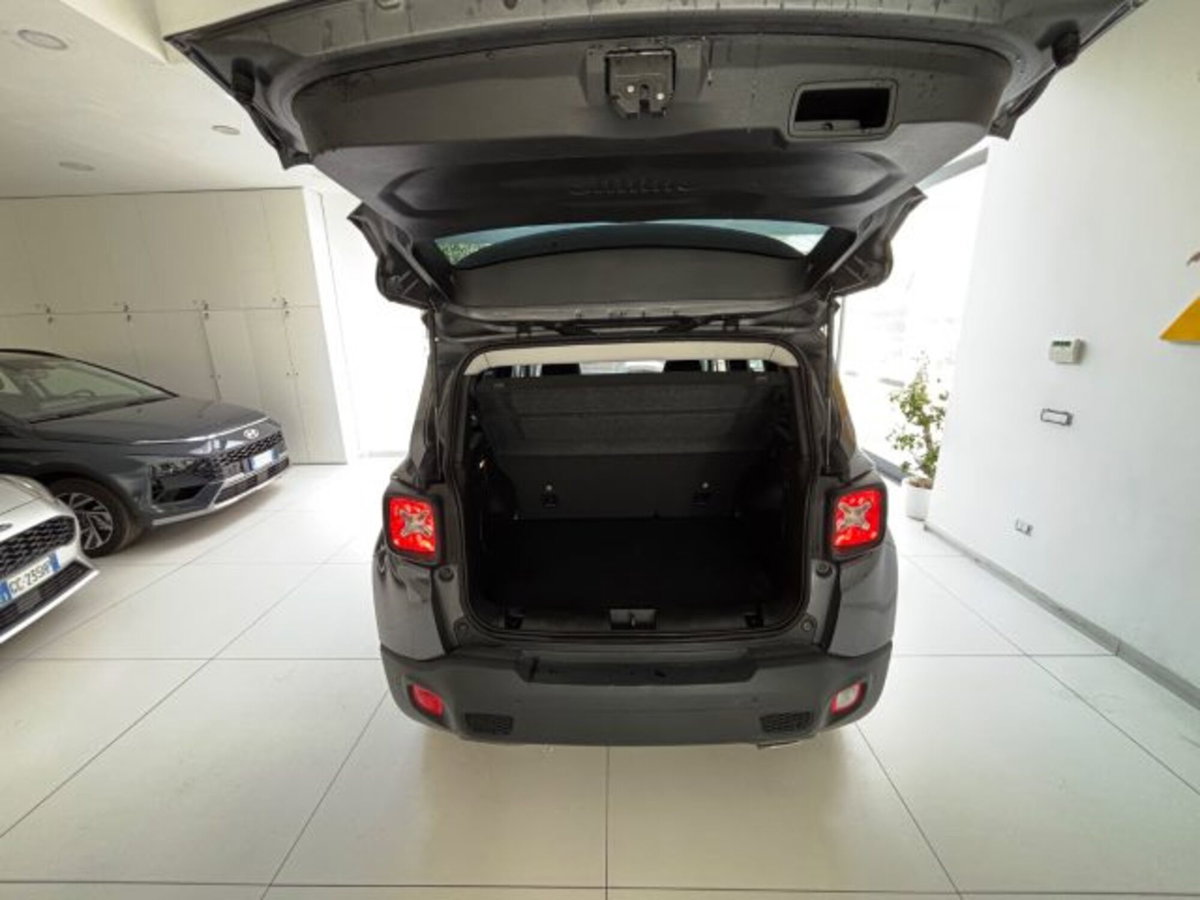 Jeep Renegade 1.5 Turbo T4 MHEV Limited (16)