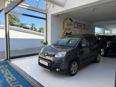 Fiat Panda 1.0 firefly hybrid s&s 70cv 5p.ti usata