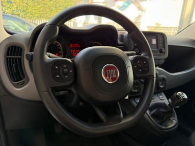 Fiat Panda 1.0 firefly hybrid s&s 70cv 5p.ti (17)