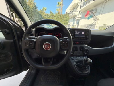 Fiat Panda 1.0 firefly hybrid s&s 70cv 5p.ti (19)
