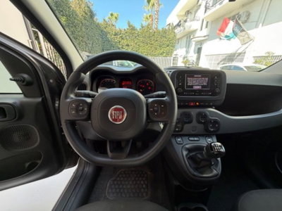 Fiat Panda 1.0 firefly hybrid s&s 70cv 5p.ti (20)