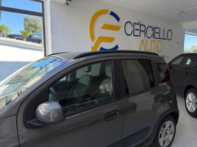 Fiat Panda 1.0 firefly hybrid s&s 70cv 5p.ti (6)