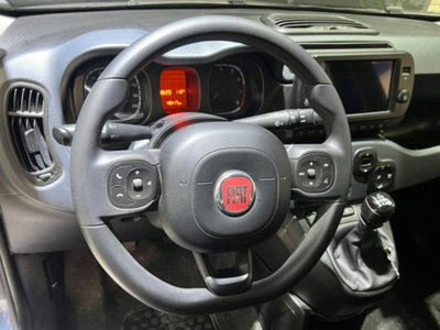 Fiat Panda 1.0 FireFly S&S Hybrid City Cross (10)