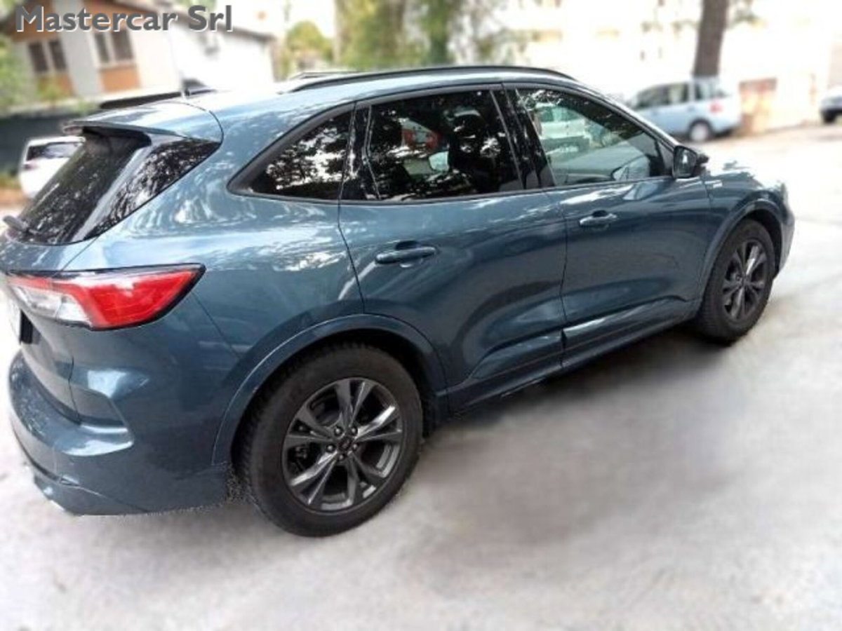 Ford Kuga 1.5 EcoBlue 120 CV 2WD ST-Line (14)