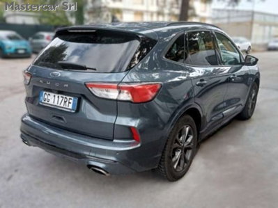 Ford Kuga 1.5 EcoBlue 120 CV 2WD ST-Line (5)