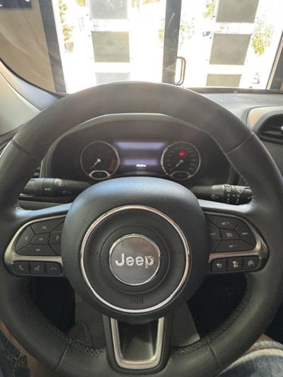Jeep Renegade 1.6 Mjt 130 CV Limited (14)
