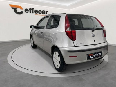 Fiat Punto 1.2 3 porte Active (4)
