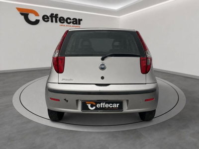 Fiat Punto 1.2 3 porte Active (5)