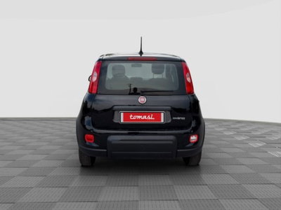 Fiat Panda Cross Cross 1.0 FireFly S&S Hybrid (4)