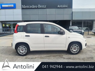 Fiat Panda 1.0 firefly hybrid s&s 70cv 5p.ti usata