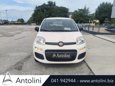 Fiat Panda 1.0 firefly hybrid s&s 70cv 5p.ti (3)