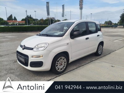 Fiat Panda 1.0 firefly hybrid s&s 70cv 5p.ti (4)
