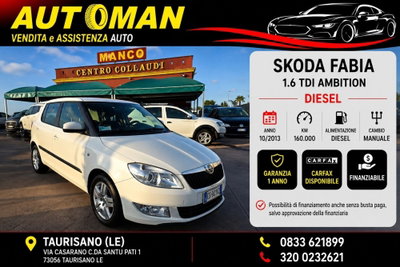 Skoda Fabia 1.6 TDI CR 90CV 5p. Ambition usata