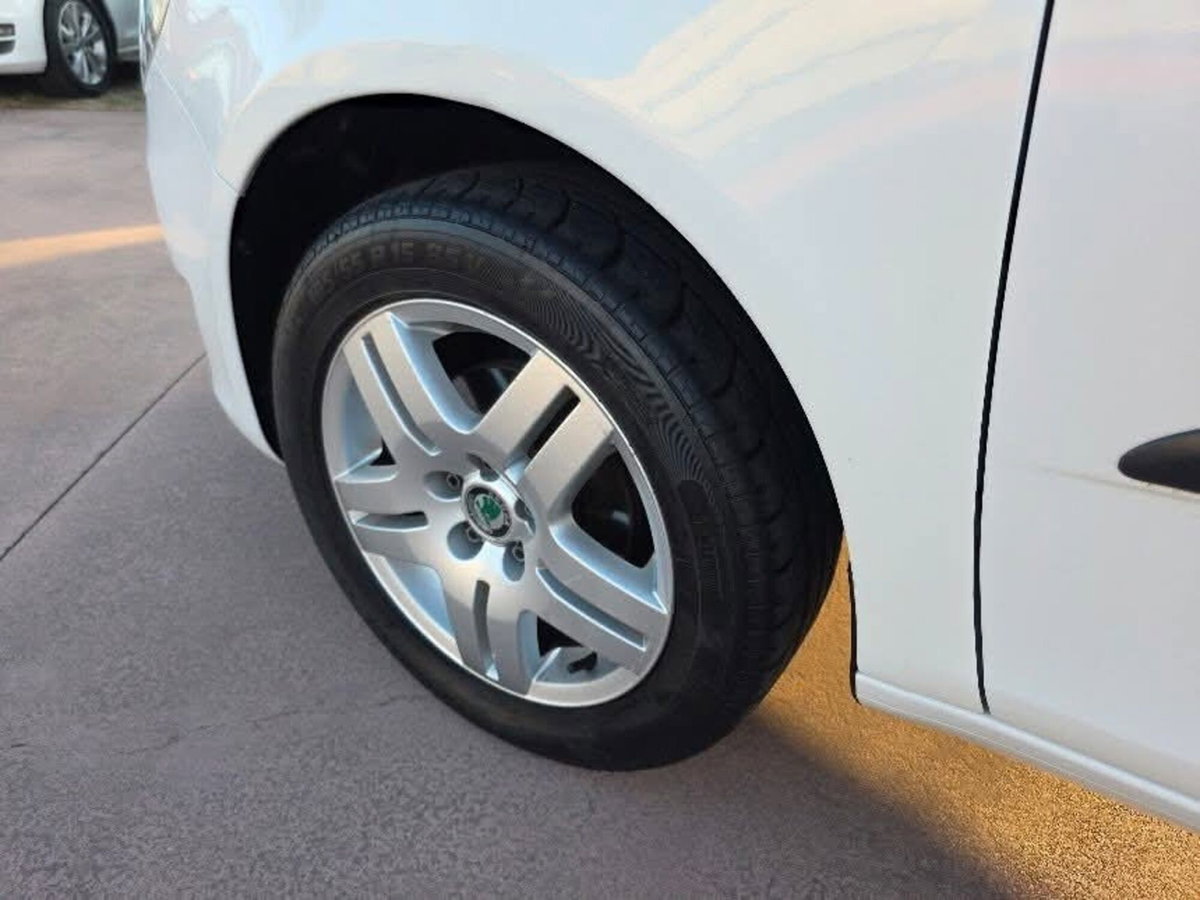 Skoda Fabia 1.6 TDI CR 90CV 5p. Ambition (10)