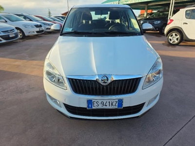 Skoda Fabia 1.6 TDI CR 90CV 5p. Ambition (3)