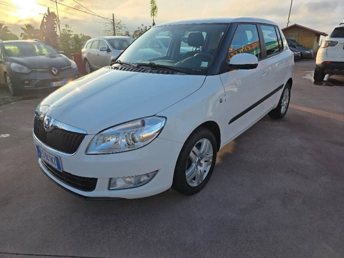Skoda Fabia 1.6 TDI CR 90CV 5p. Ambition (4)