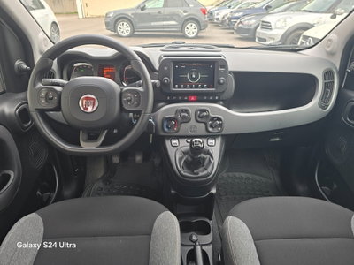 Fiat Panda 1.0 FireFly S&S Hybrid (7)