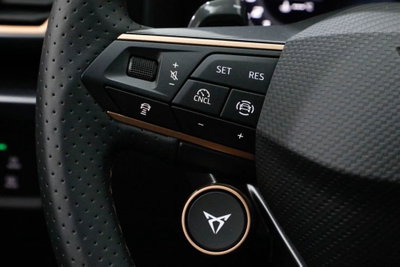 Cupra Formentor 2.0 tsi VZ 4drive 333cv dsg (14)