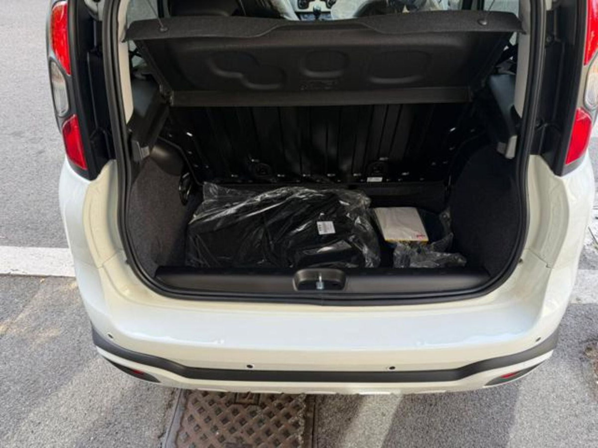 Fiat Panda 1.0 firefly hybrid s&s 70cv 5p.ti (14)