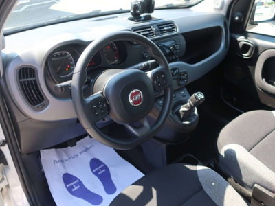Fiat Panda 1.0 firefly hybrid s&s 70cv 5p.ti (3)