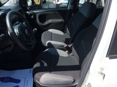 Fiat Panda 1.0 firefly hybrid s&s 70cv 5p.ti (4)