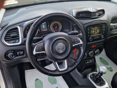 Jeep Renegade 1.6 Mjt 120 CV Longitude (10)