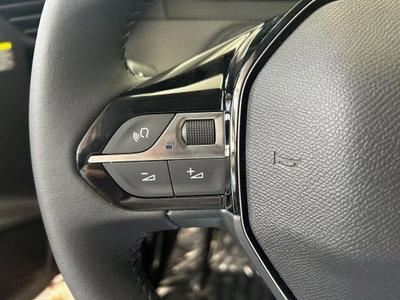 Peugeot 208 1.2 hybrid Business 110cv e-dcs 6 (19)