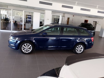 Skoda Octavia Station Wagon 1.6 TDI CR 115 CV Wagon Executive (3)