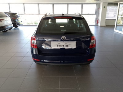 Skoda Octavia Station Wagon 1.6 TDI CR 115 CV Wagon Executive (5)