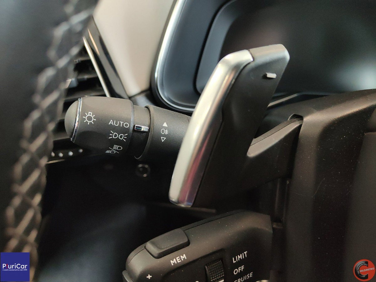 Ds DS 7 1.5 bluehdi Esprit de Voyage 130cv auto (20)