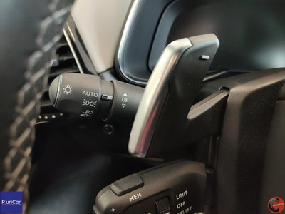 Ds DS 7 1.5 bluehdi Esprit de Voyage 130cv auto (20)