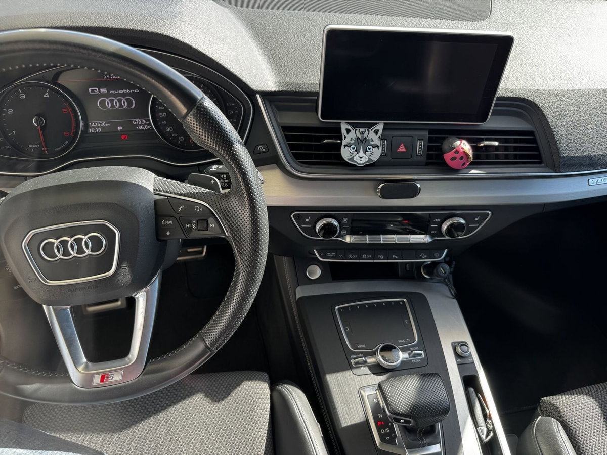 Audi Q5 40 TDI quattro S tronic S line plus (18)