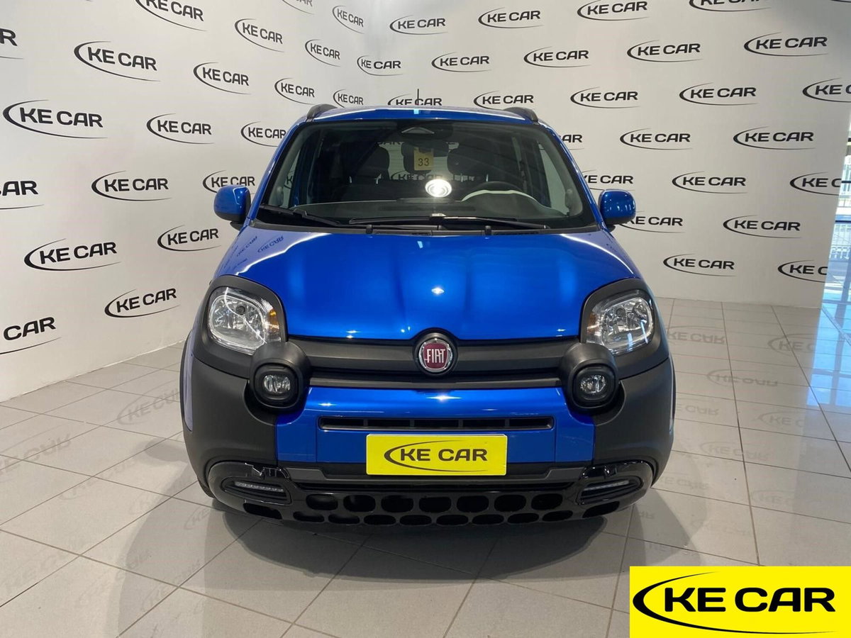 Fiat Panda Cross Cross 1.0 FireFly S&S Hybrid (2)